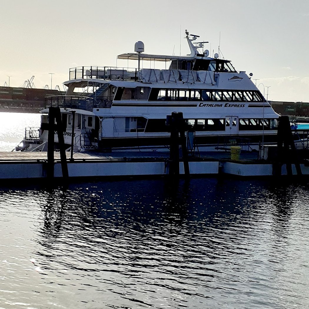 Catalina Express 1
